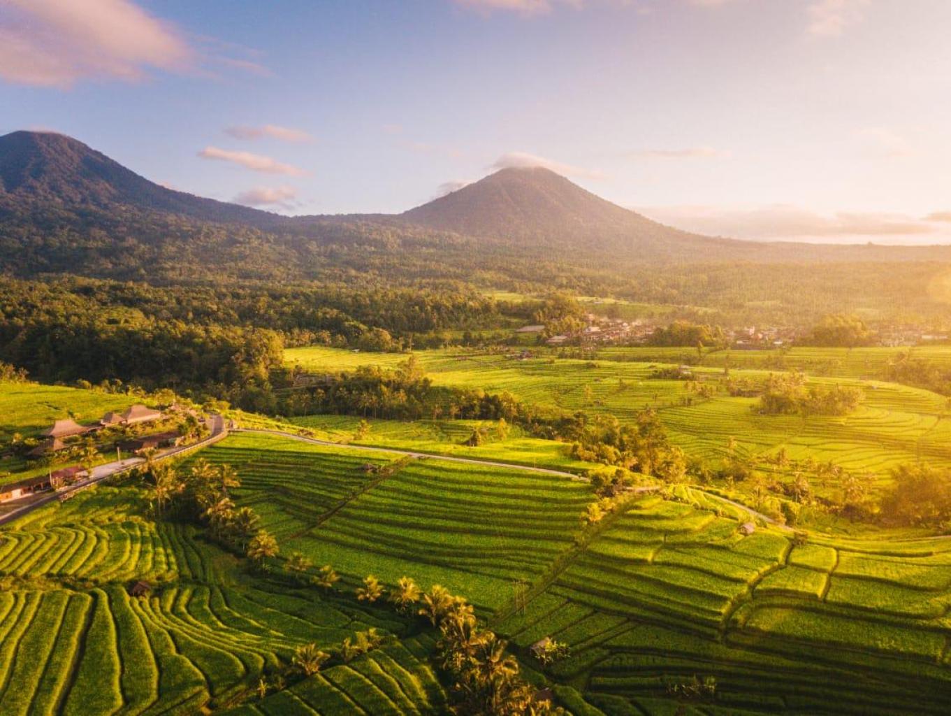 Alam Desa Petogogan yang Asri