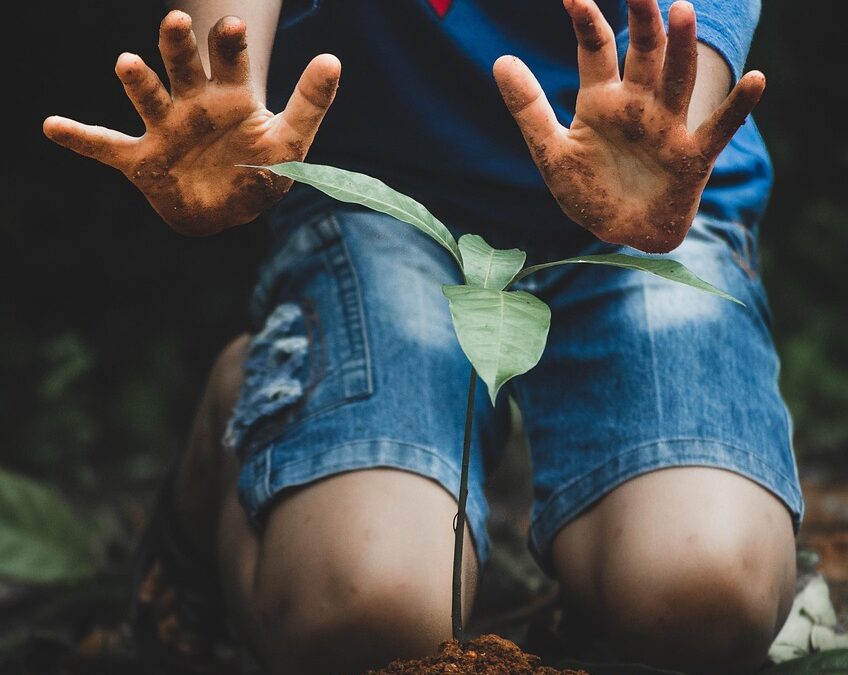 Rencana Aksi Peningkatan Kesehatan Desa Petogogan
