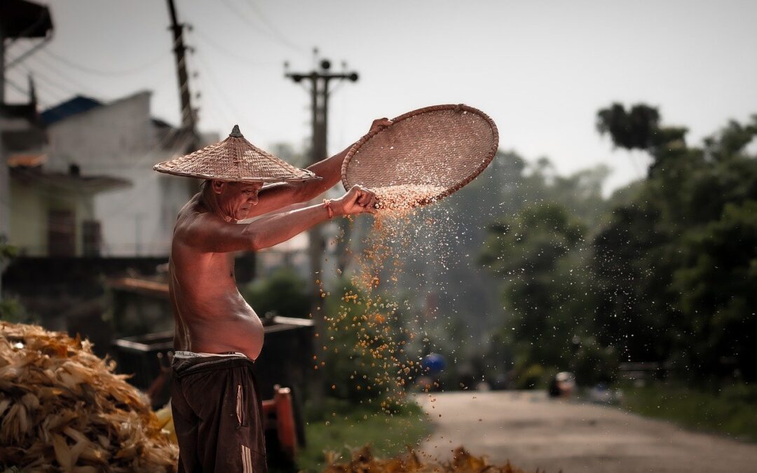 Peran PKK dalam Meningkatkan Kualitas Hidup di Desa Petogogan