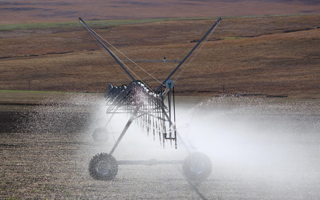 Strategi PKK dalam Pengembangan Ekonomi Lokal di Desa Petogogan
